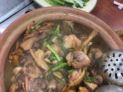 -华仔土鸡店(南洲分店)