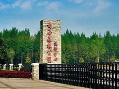 -黄海国家森林公园