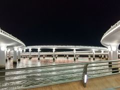 -演武大桥观景平台