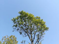 -羚羊峡古栈道森林公园