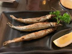 -科尔海悦酒店樱之河日本料理(清河东路店)