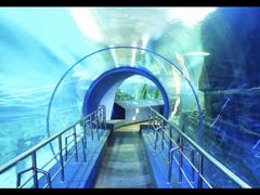 -太平洋海底世界