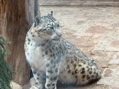 -青藏高原野生动物园