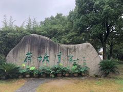 -荷塘月色湿地公园·向阳花洲