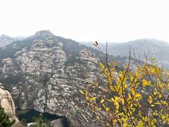 -崂山仰口游览区