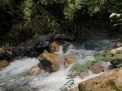 -西岭雪山大飞水景区