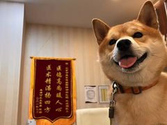-宠爱国际动物医院·消化内科·心肾内科·ISFM猫友好(望京店)