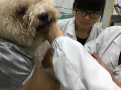-成都民大动物医院
