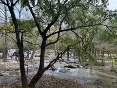 -玉渡山自然风景区