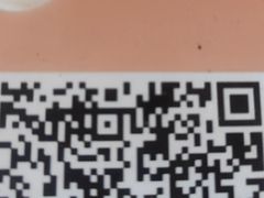 -刘艳黄牛肉(九襄店)