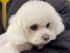 -comecome来吧宠物(奥克斯中心店)