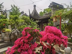 -苏州冶园园林民宿(太湖西山风景区店)