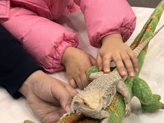 -FAIRYLAND龙族星球主题餐厅(凯丹广场店)