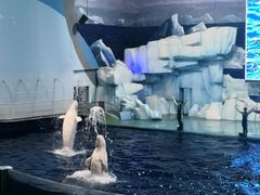 -福州罗源湾海洋世界旅游区