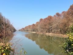 -上海海湾国家森林公园