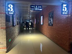 -华美国际影城(旧宫永辉店)