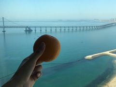 -大连君悦酒店·星海湾壹号Dalian·Dalian(星海广场店)