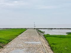 -南汇嘴观海公园