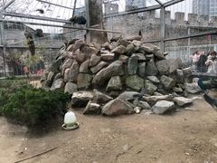 -水绘园