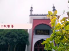 -凤凰寺
