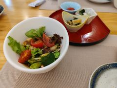 有机蔬菜沙拉-藤鹤日本料理(保利广场店)