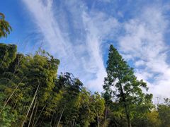 -井空里大峡谷
