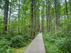 -同里国家湿地公园