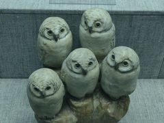 -唐山抗震纪念馆