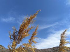 -白河湾生态旅游一条川