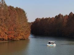 -上海海湾国家森林公园