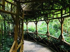 -野三坡百草畔景区