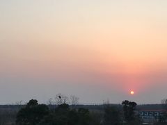 -上海崇明金茂凯悦酒店