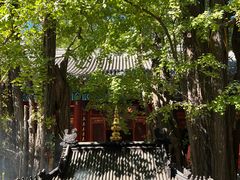 -八大处公园