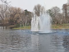 -上海共青森林公园