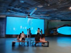 -海合安成都极地海洋公园