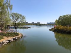 -大兴滨河森林公园