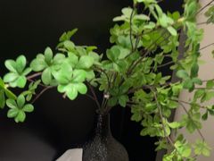 -华夏良子·足道SPA艾灸(图书大厦店)