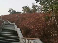 -白石龙音乐公园