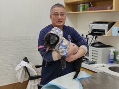 -美联众合动物医院·24h京西诊疗中心
