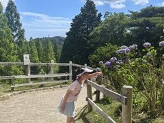 -神户市立六甲山牧场