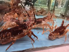 -香融府·烤鸭·家常菜(马家堡路店)