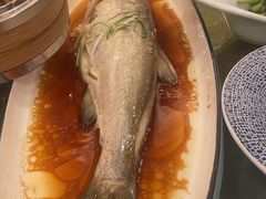 -全聚德(上海首店浦东店)
