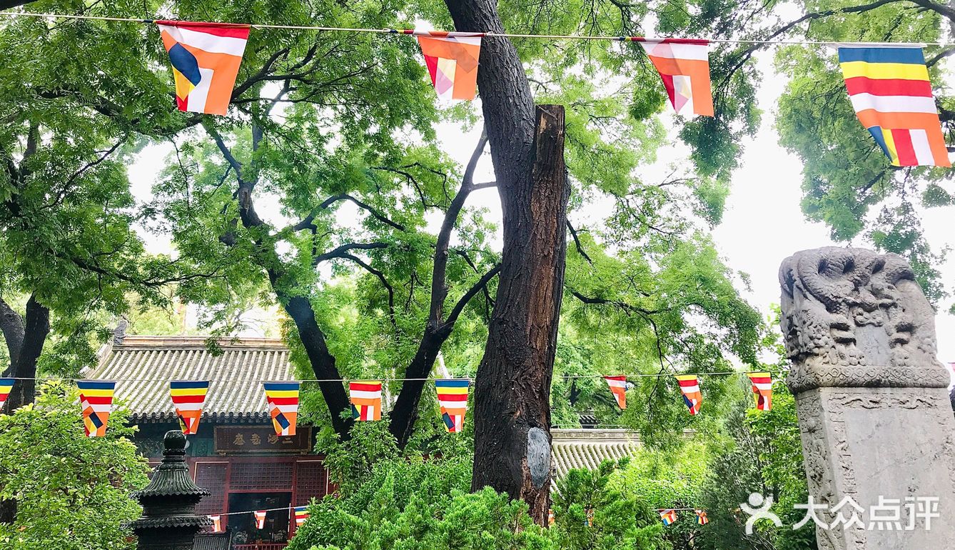 雨后～如新