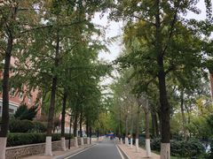-大连理工大学(凌水校区)