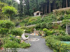 -瓦屋山景区