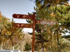 -石老人观光园