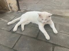 -阆辣荟餐饮(老味道8年·古城店)