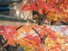 -青岛崂山太清宫