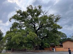 -共和国摇篮旅游区-红井景区