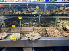 -77号·蒸海鲜青岛菜(积米崖店)